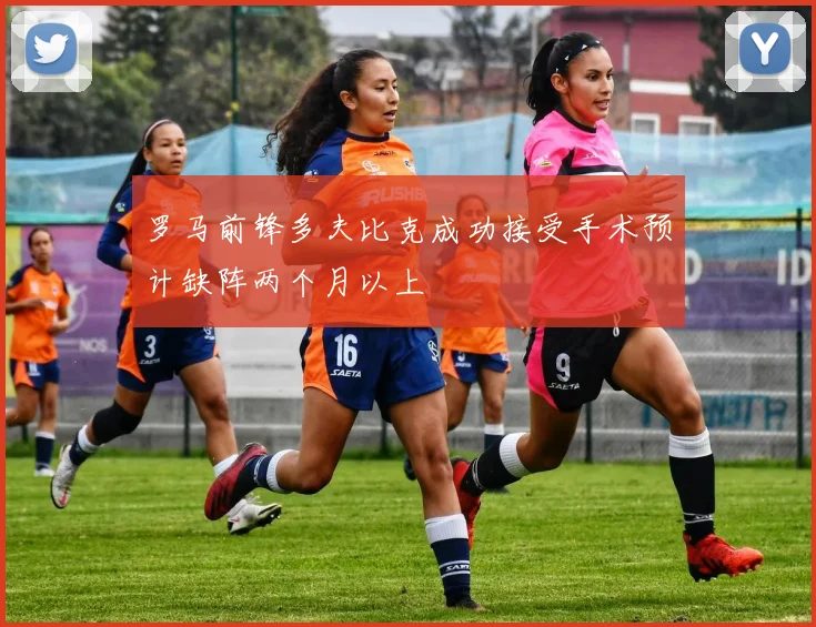 罗马前锋多夫比克成功接受手术预计缺阵两个月以上